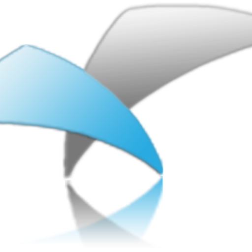 Xray ICT & consulting co LTD
